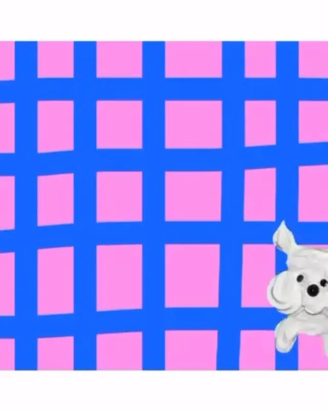 『はじめまして🌼Ayakaと申します。